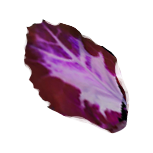 Power Petal
